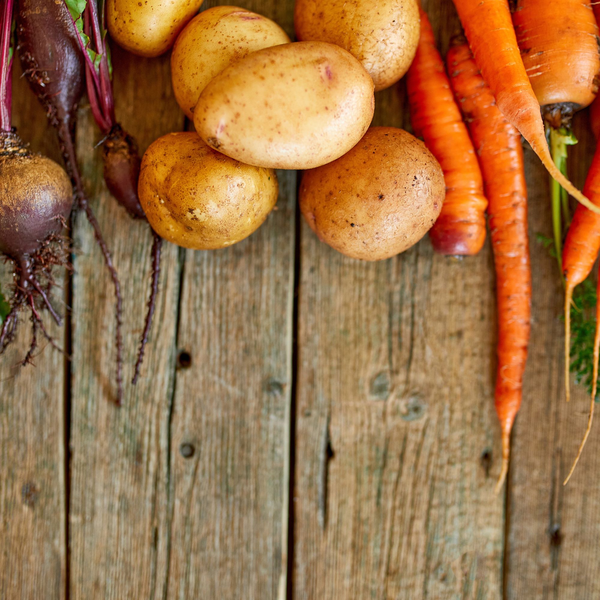 Packaging per l'agricoltura