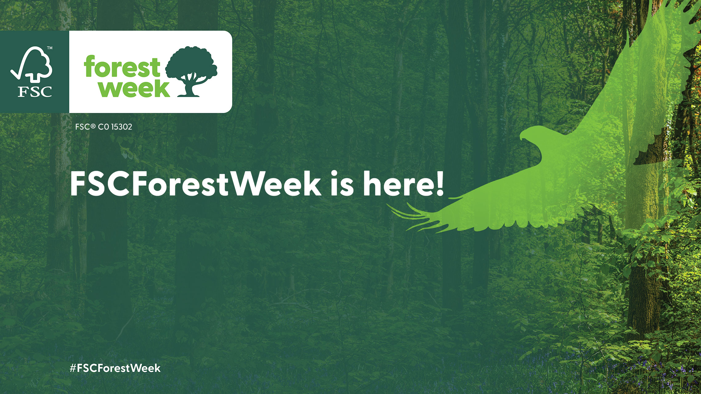 FSC ® Forest Week - Fiorini International